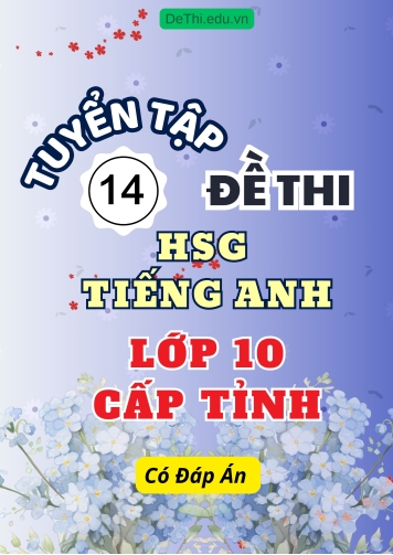 Tuyển chọn 14 đề thi HSG Tiếng Anh Lớp 10 cấp Tỉnh (Có đáp án)